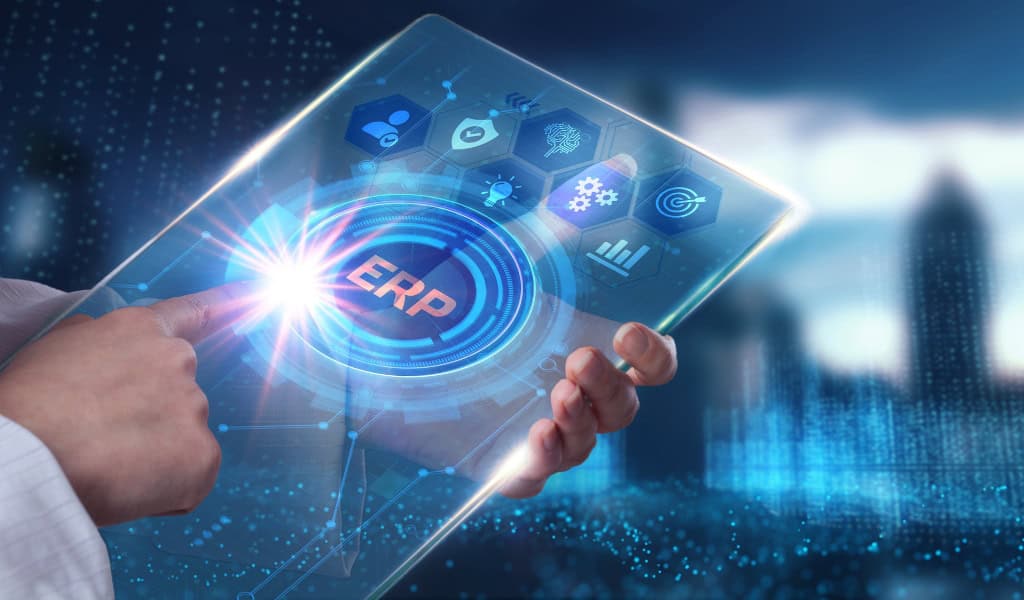 ERP Implementation Services